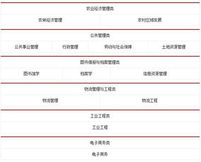 省考招收电子商务专业吗